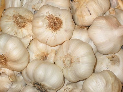 garlic vegetables food