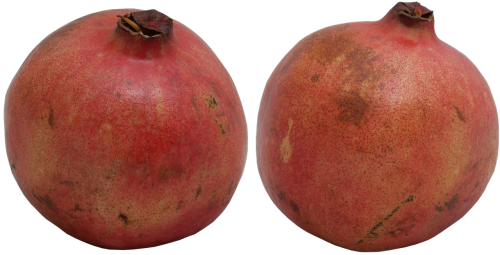 garnet pomegranate southern fruits