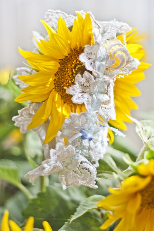 garter wedding sunflower