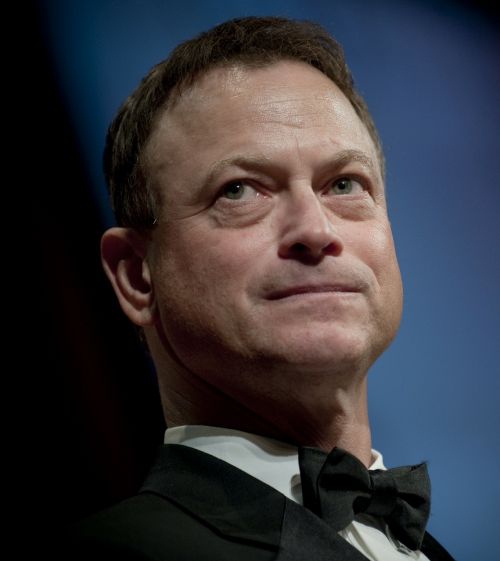 gary sinise actor star