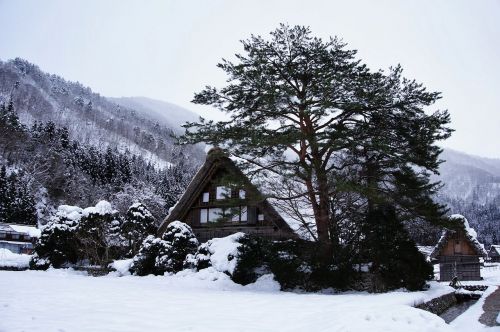 gassho village snow japan