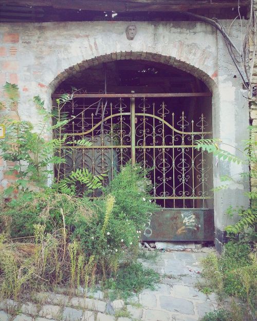 gate lonely street