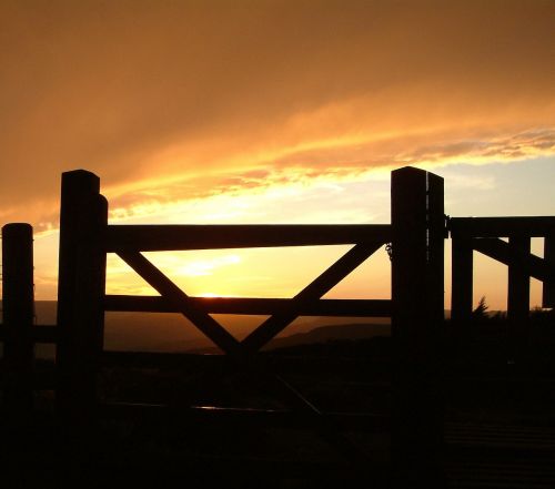 gate sunset golden