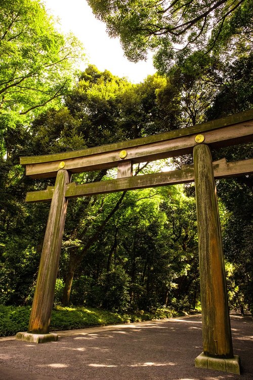 gate  garden  nature