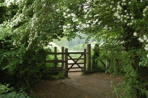 gate leaves fence