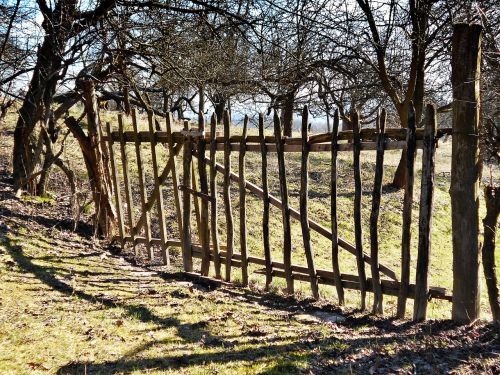 gateway the fence wood