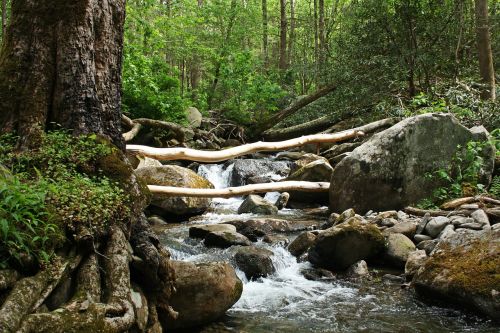 gatlinburg tennessee river