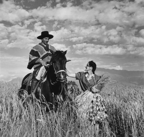 gaucho reiter horse