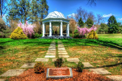 gazebo spring blooming