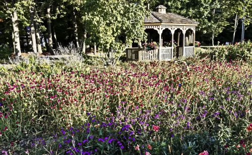 Gazebo In Flower Garden