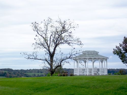 Gazebo In Green Field