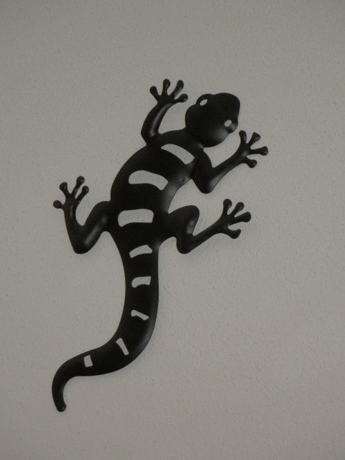 gecko black and white metal