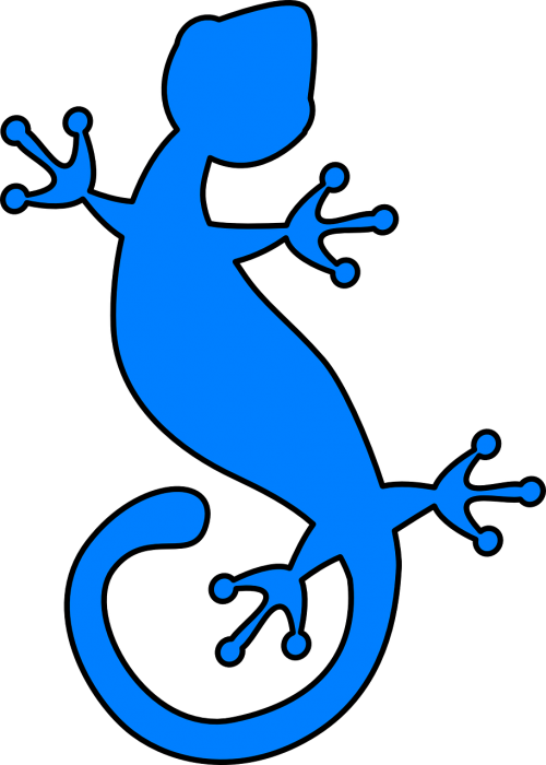 gecko lizard iguana