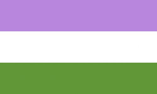 genderqueer flag pride