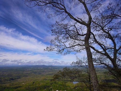 georgia mountains trees