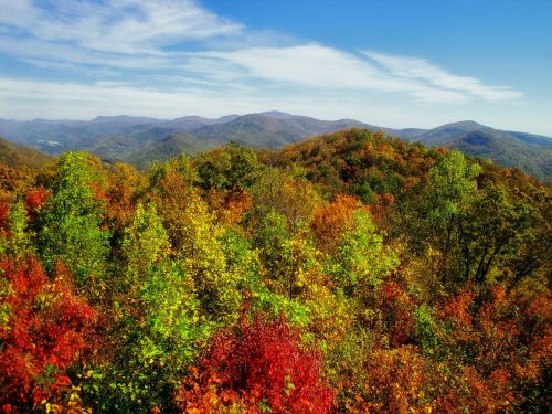 georgia usa autumn