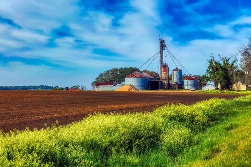 georgia  farm  field