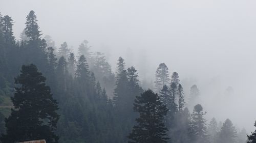 georgia mountains fog