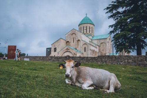 georgia holy trinity church cow the scenery