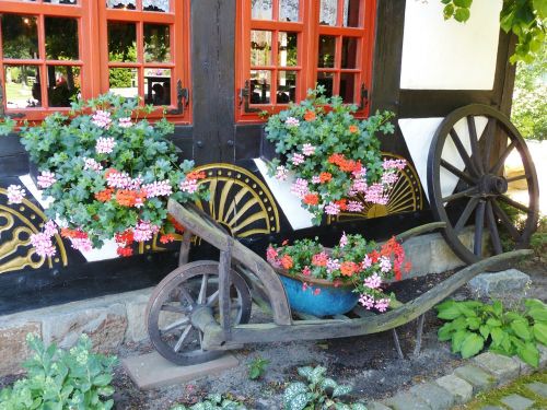 geranium flowers cart