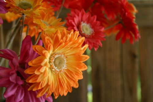 gerber gerber daisy bouquet