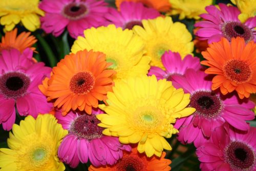 gerbera summer bouquet of flowers