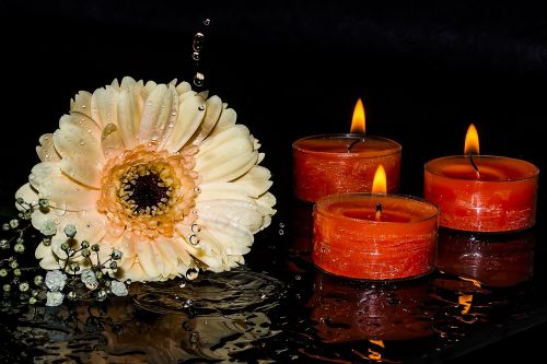 gerbera gypsophila candles