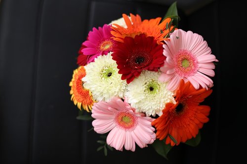 gerbera  daisy  bouquet
