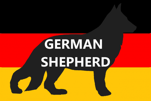 german shepherd dog pet