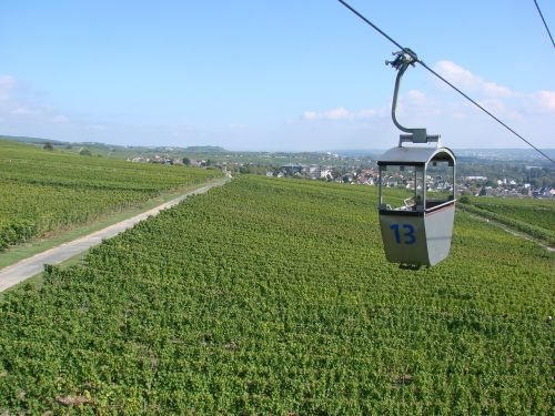 germany rüdesheim vineyards