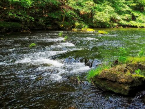 germany stream river