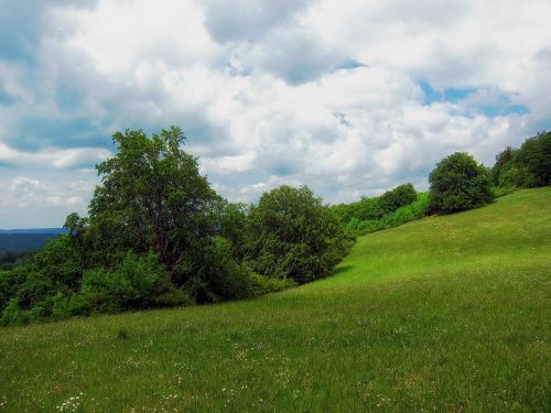 germany meadow landscape