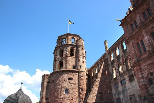 germany  heidelberg  hidelberg