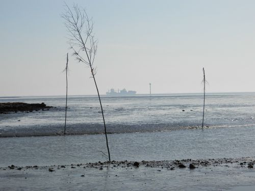 germany wadden sea wremen