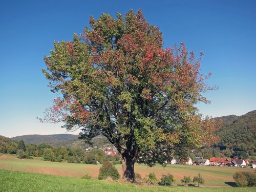 germany landscape autumn