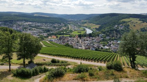 germany vineyards summer vacation