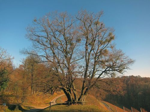 germany landscape scenic