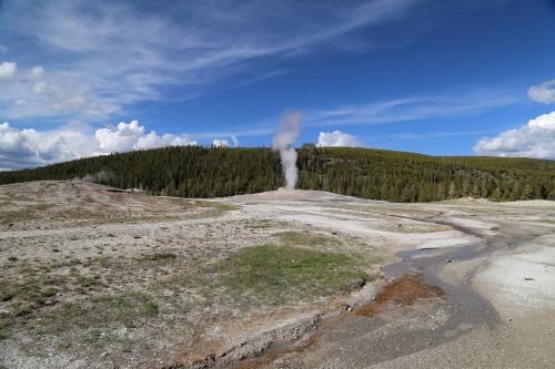 geyser yellowstone national park the scenery