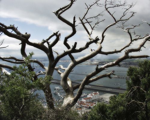 gibraltar city mediterranean sea