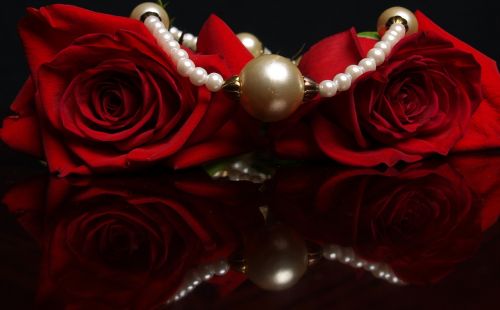 gift decoration rose