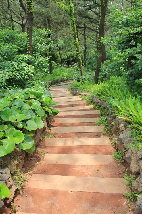 gil nature stairs