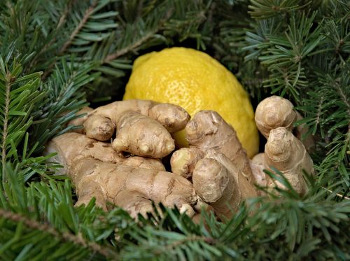 ginger lemon holidays