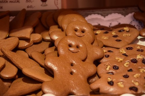 ginger  the gingerbread man  christmas