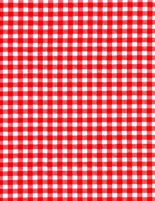 gingham fabric red