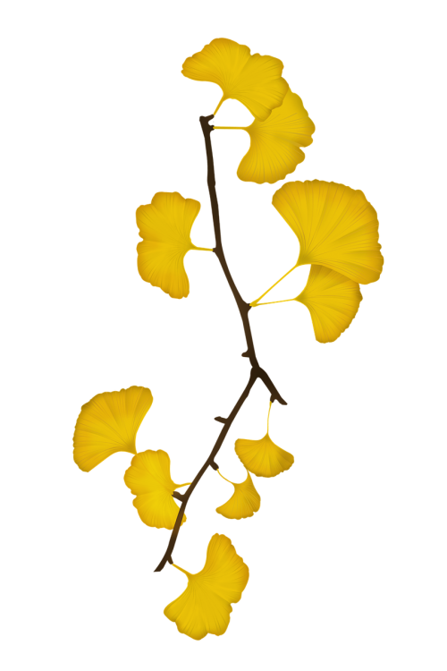 ginkgo bank leaves bank