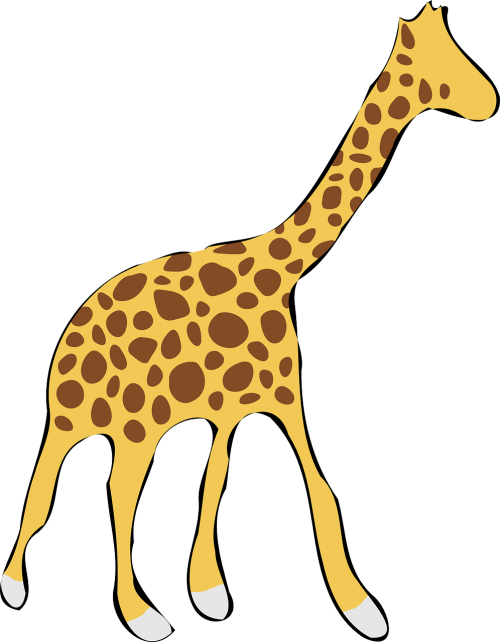 giraffe wildlife africa
