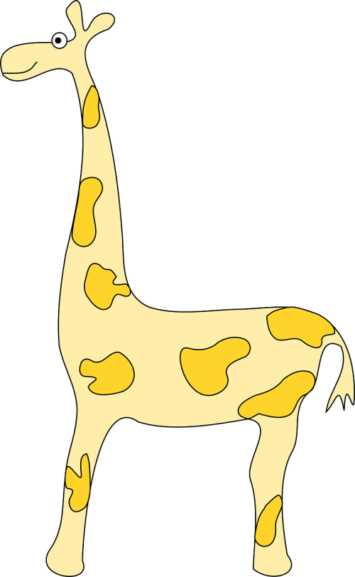 giraffe animal africa