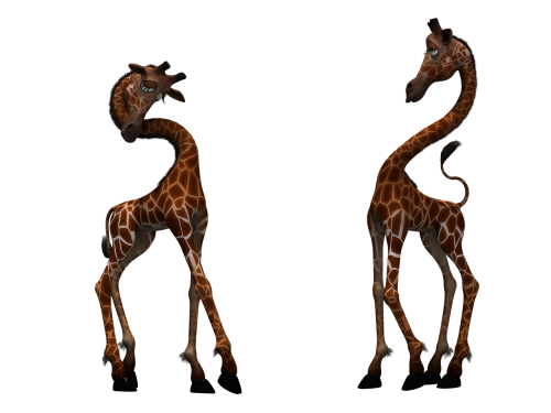 giraffe mammal funny