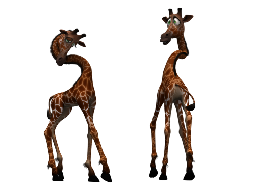 giraffe mammal funny