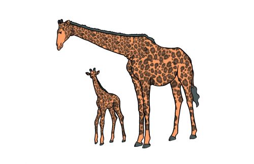 giraffe young mother